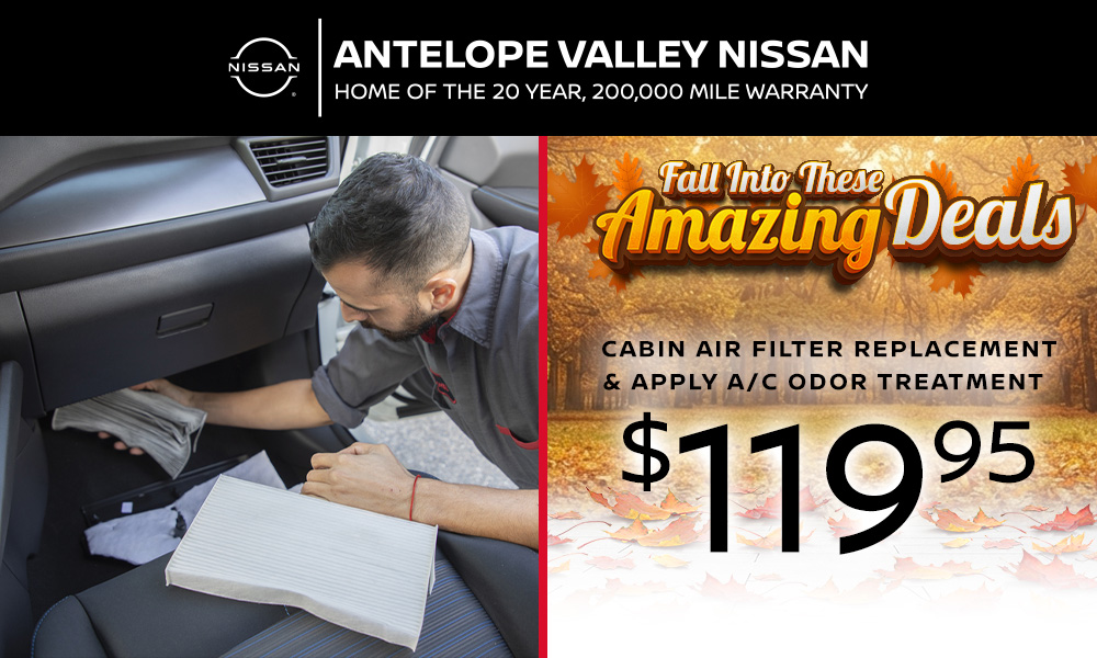 Cabin Air Filter