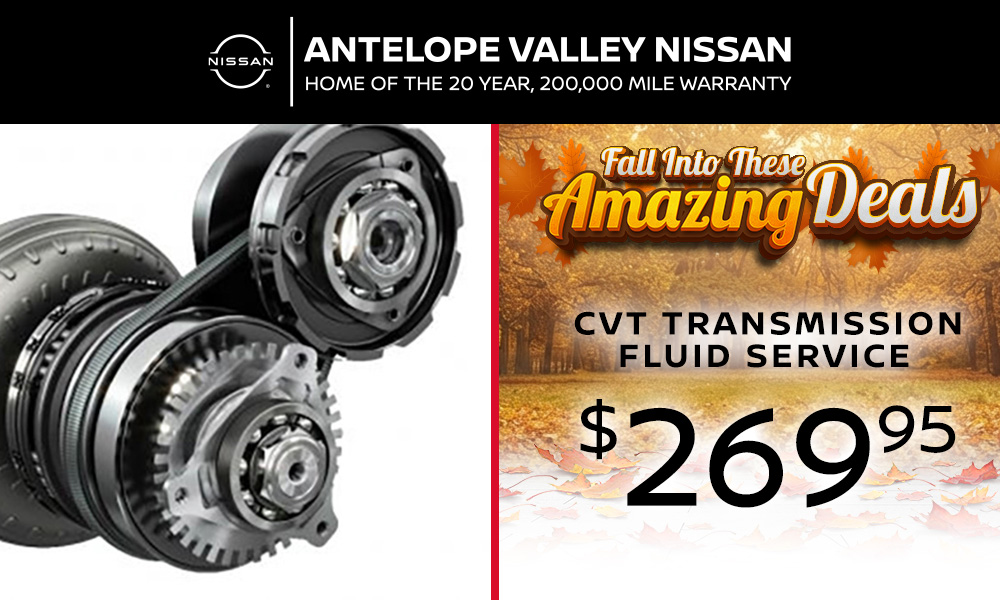 CVT Service