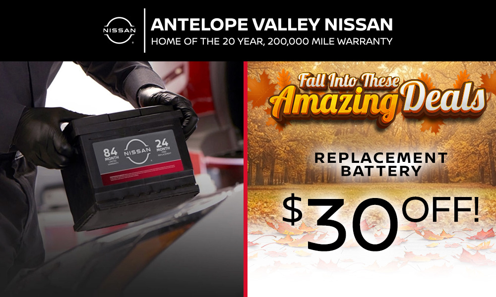 Replacement Battery