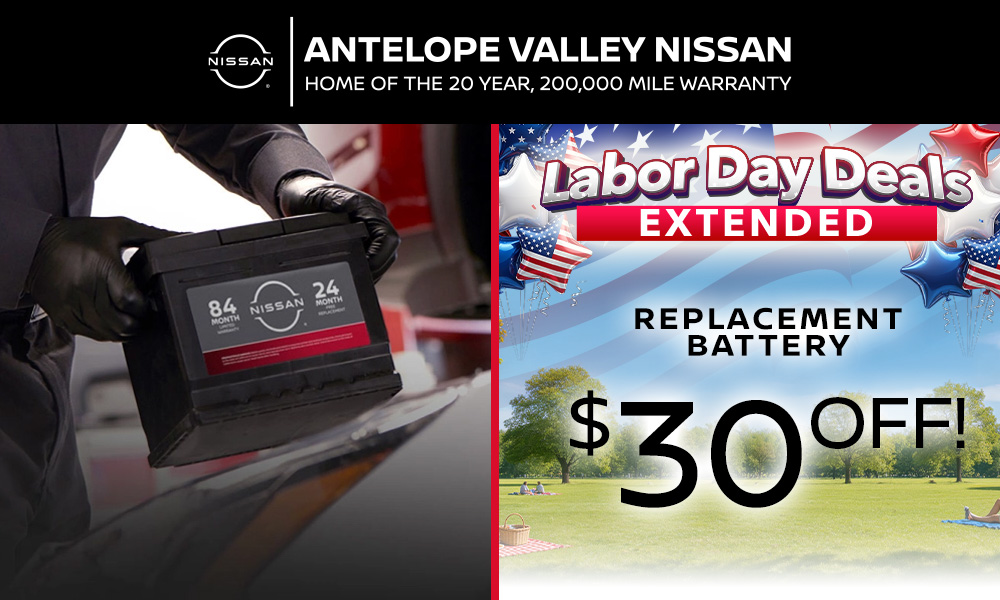 Replacement Battery