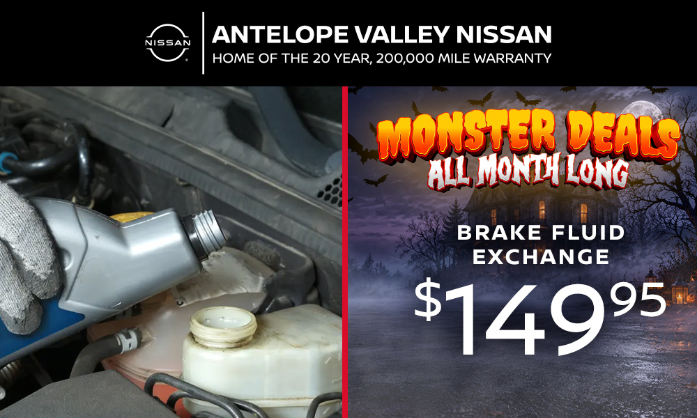 Brake Fluid Exchange