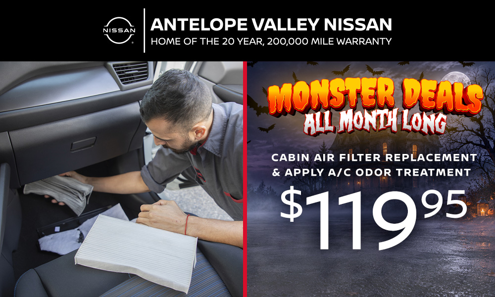 Cabin Air Filter