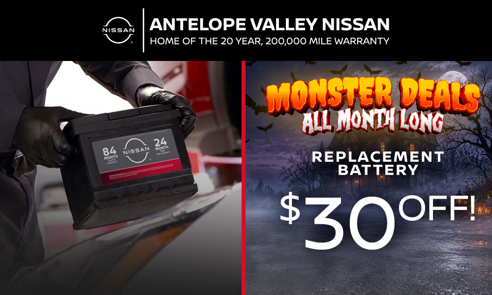 Replacement Battery