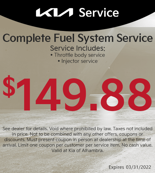 Complete Fuel System Service