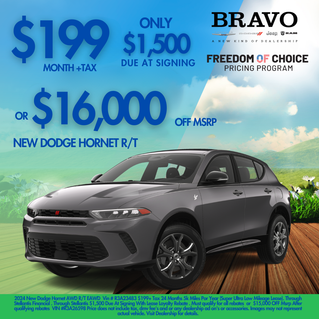 Banner Dodge Hornet DODGE HORNET