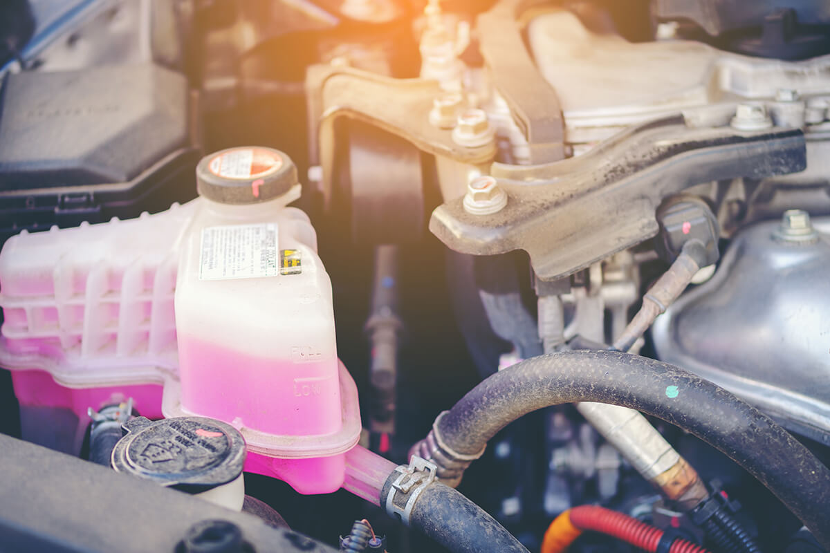 COOLANT FLUID EXCHANGE SPECIAL