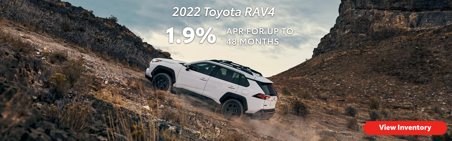 toyota dealership signal hill majormaski