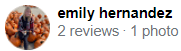 , Google Reviews Review