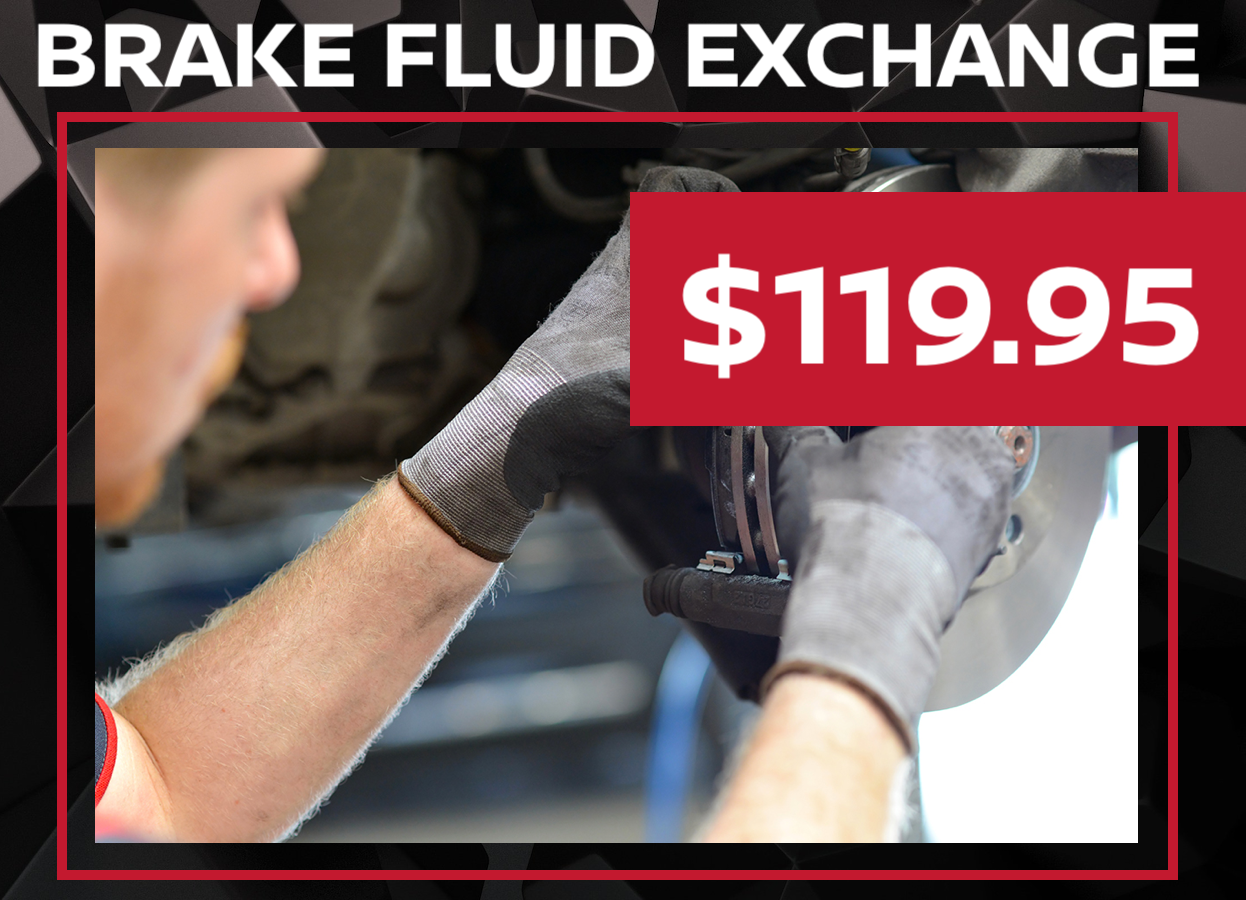 Nissan Brake Fluid Special
