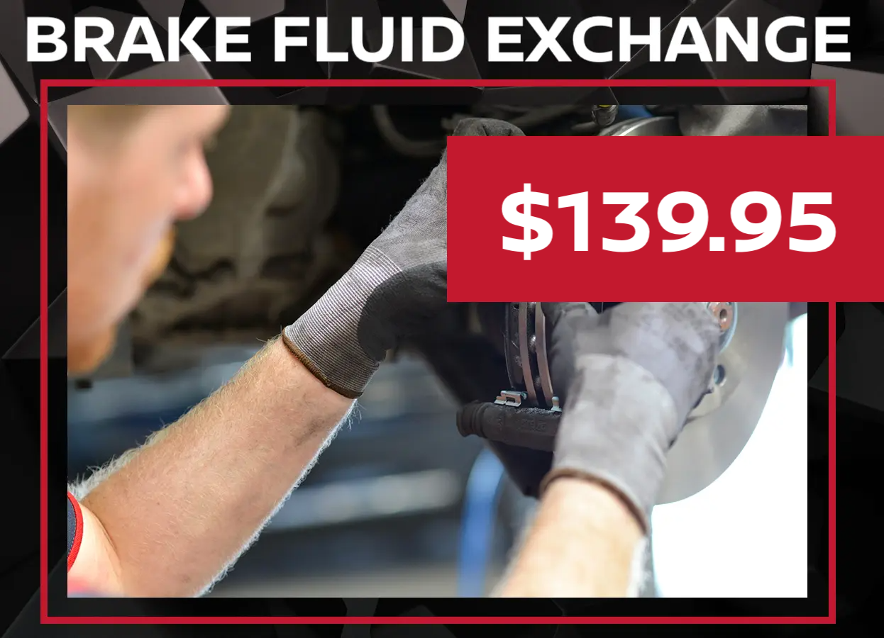 Nissan Brake Fluid Special