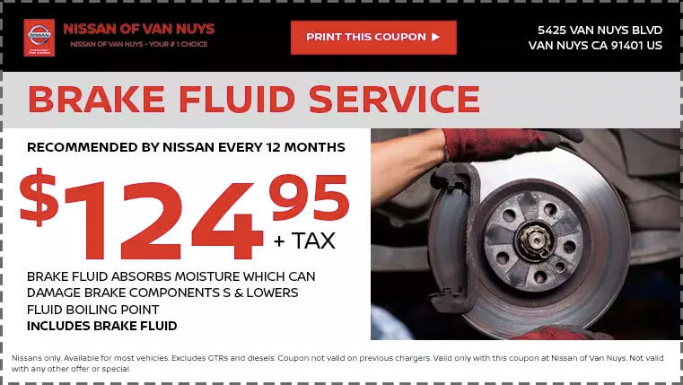 BRAKE FLUID SERVICE