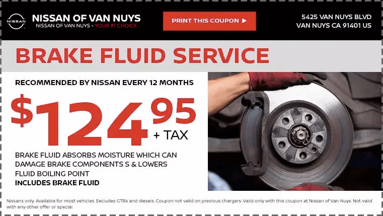 BRAKE FLUID SERVICE