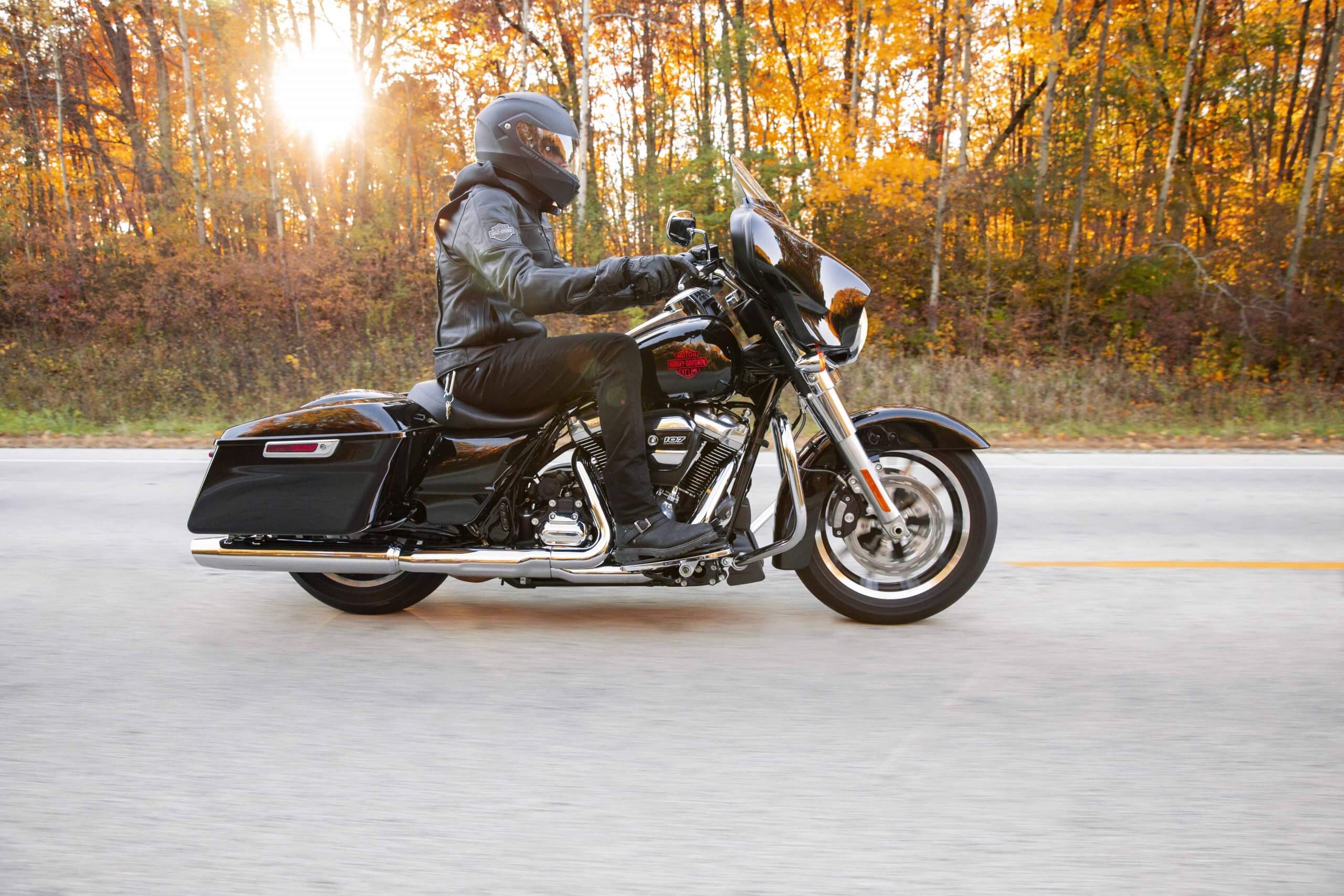 2020 Harley-Davidson Electra Glide Standard review 