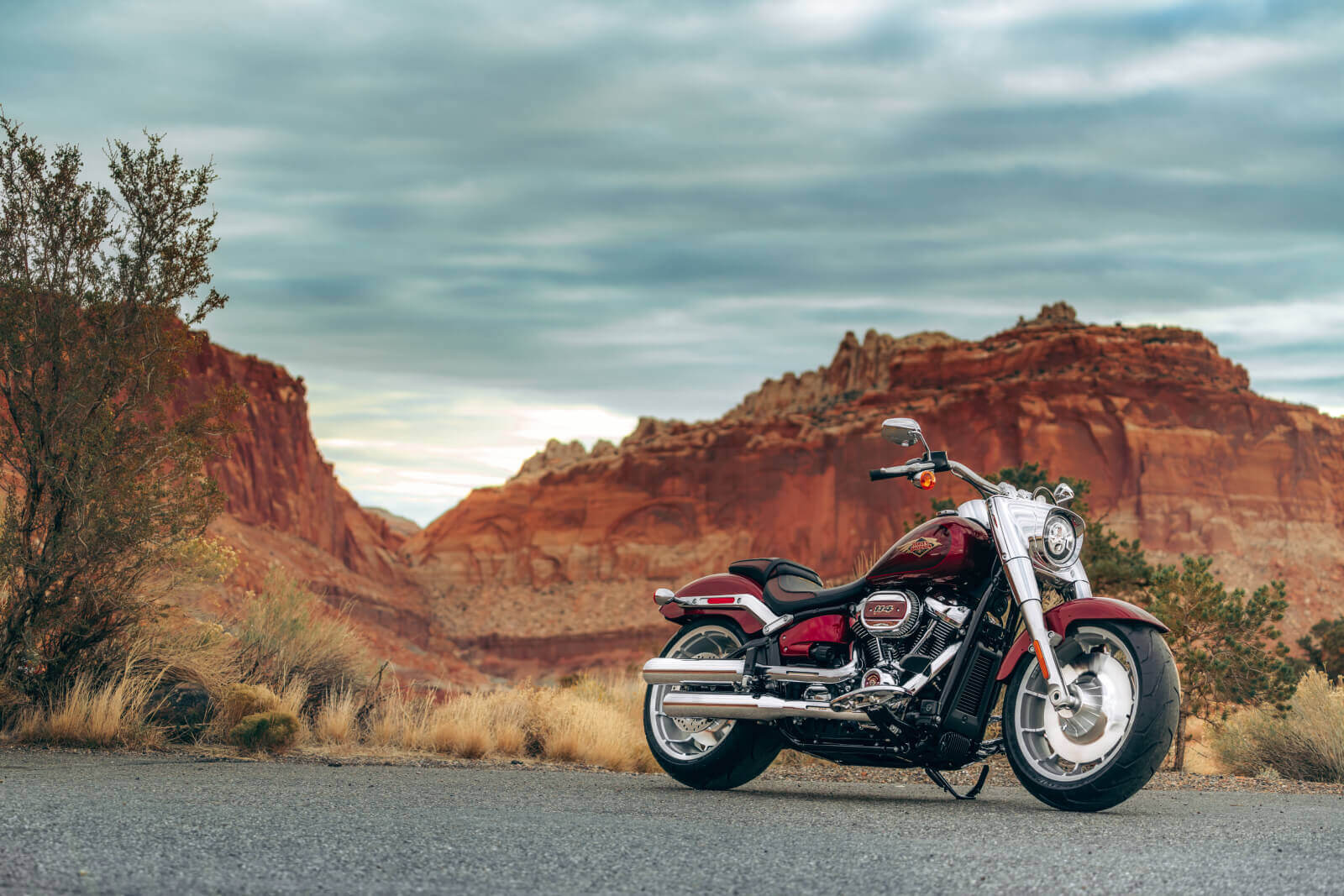 Harley Davidson Fatboy Custom Bagger