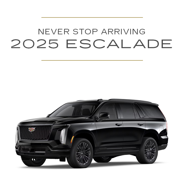 Escalade Evergreen