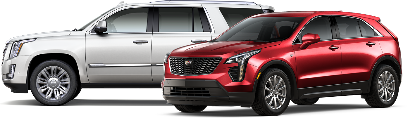 Main CROSSOVERS & SUVS