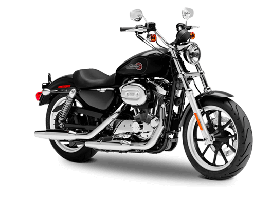 2019 Harley-Davidson SPORTSTER®