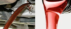 <span>Genuine Nissan Manual Transmission</span>Fluid Special