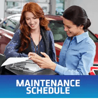 Maintenance Schedule