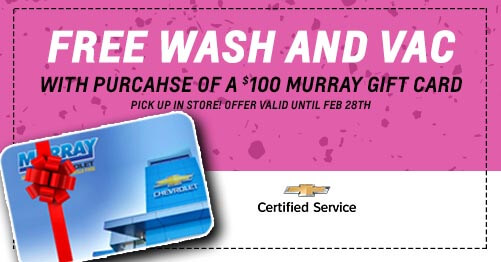 FREE Wash and Vac