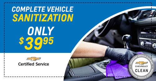 Complete Vehicle Sanitization