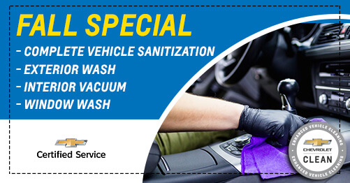 Fall Cleaning Special