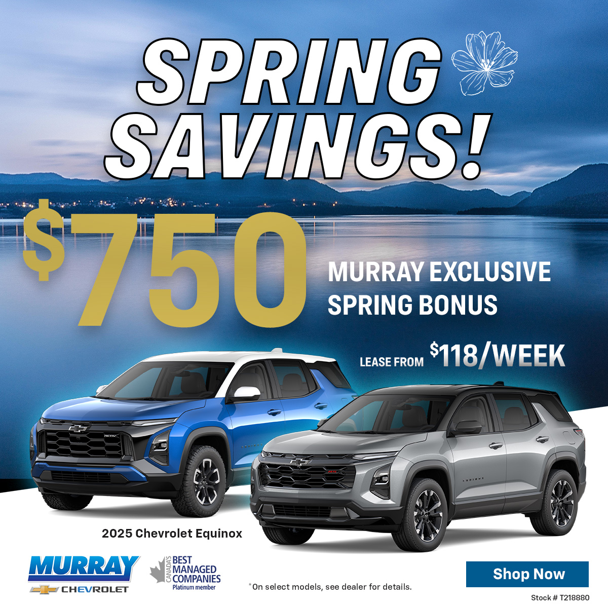 Spring Bonus