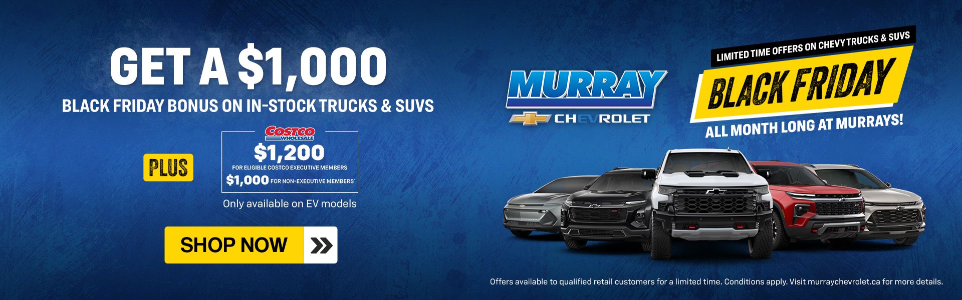 Black Friday EV Offer