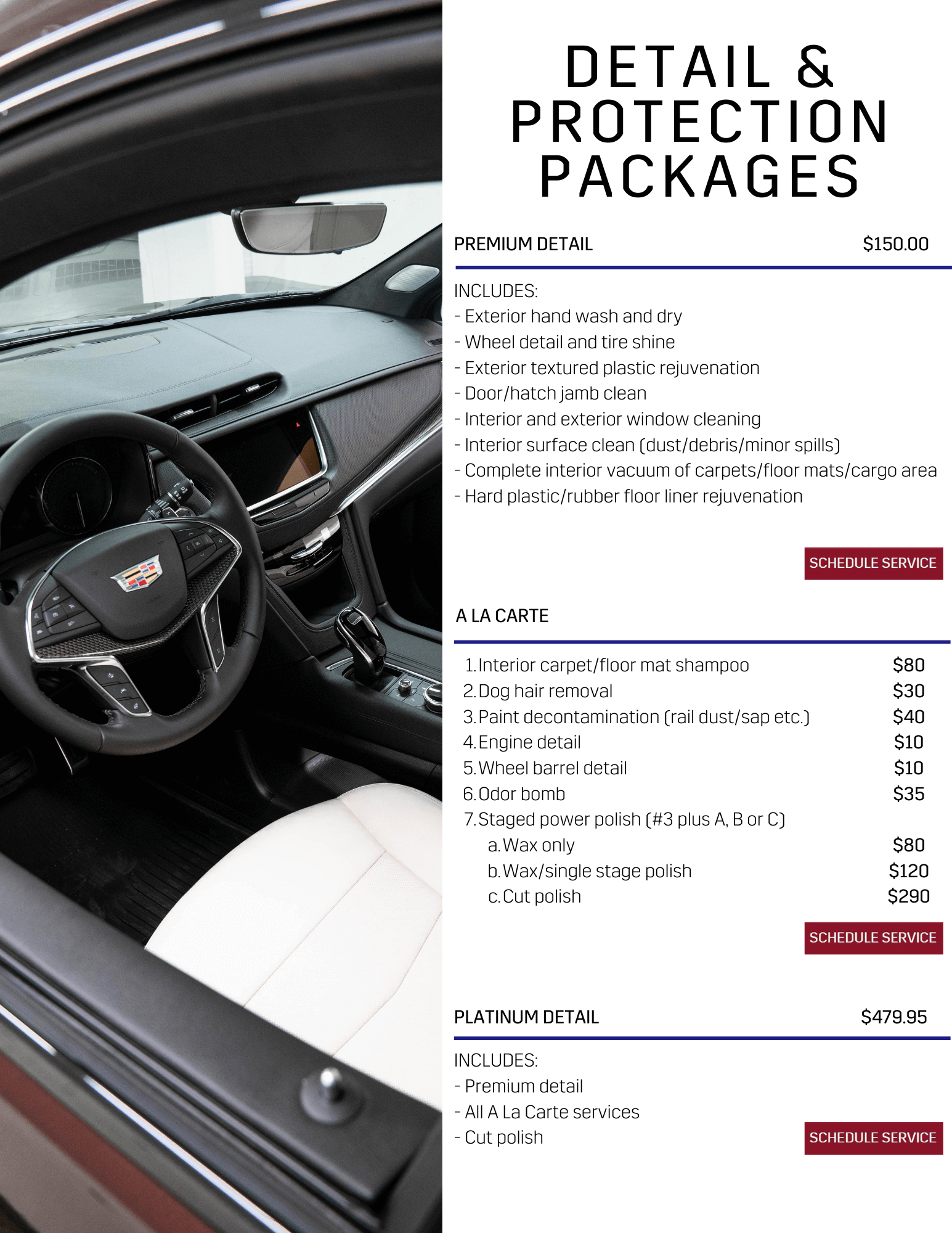 Premium Detail $79.95 + GST