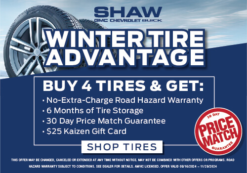 Winter Tire Advantage