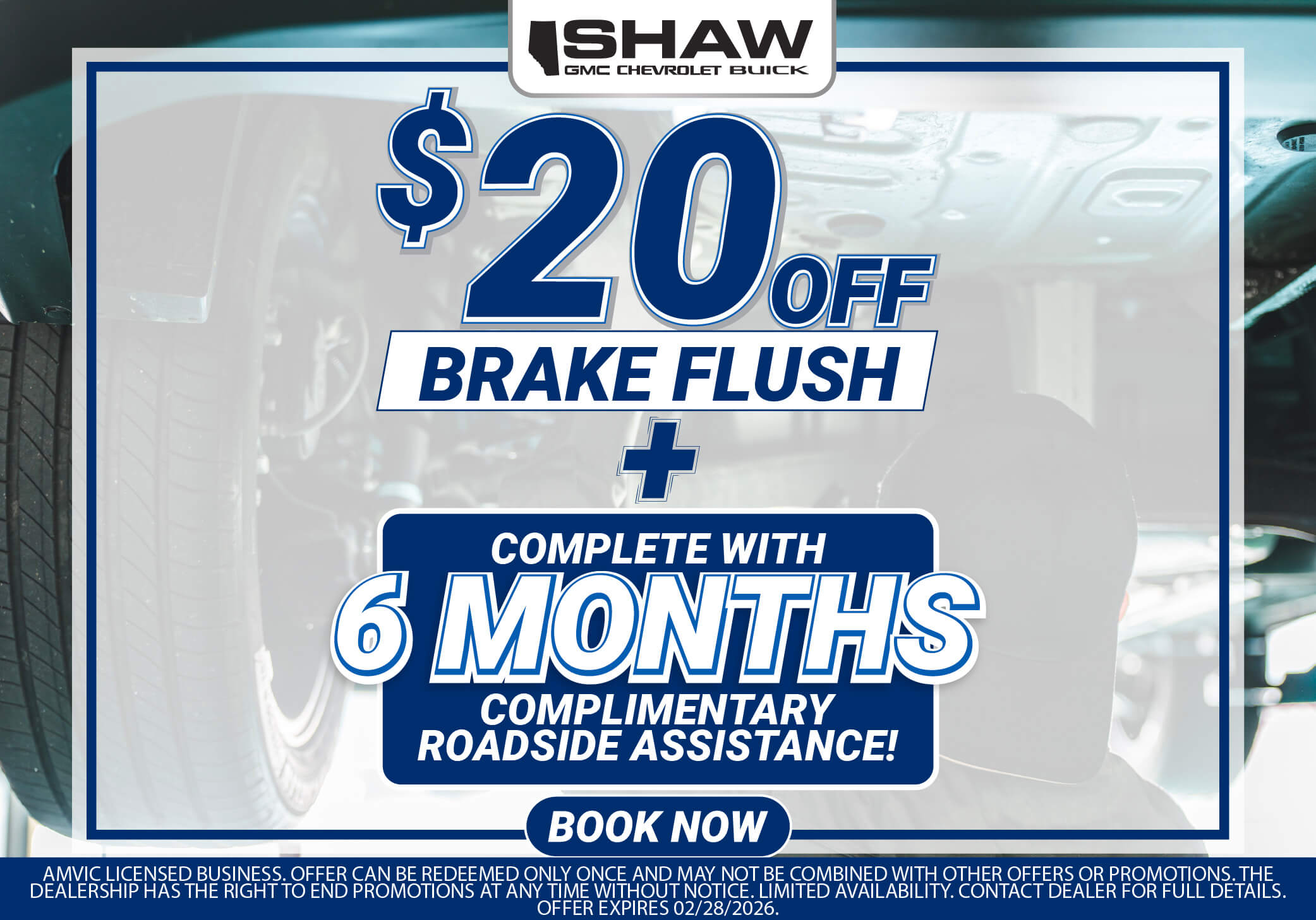 Brake Flush Brake Flush