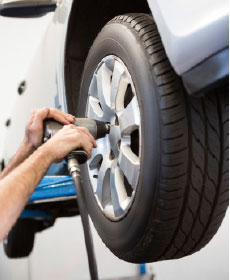 Free Alignment Check