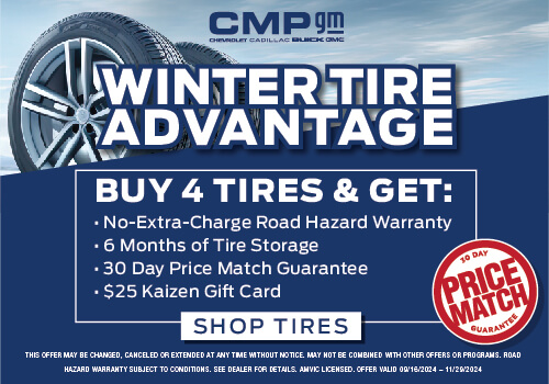 Winter Tire Advantage