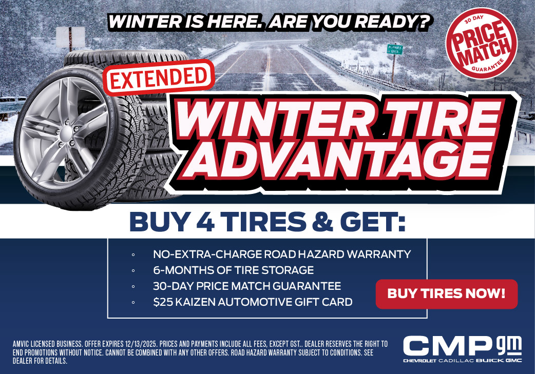 Winter Tire Advantage