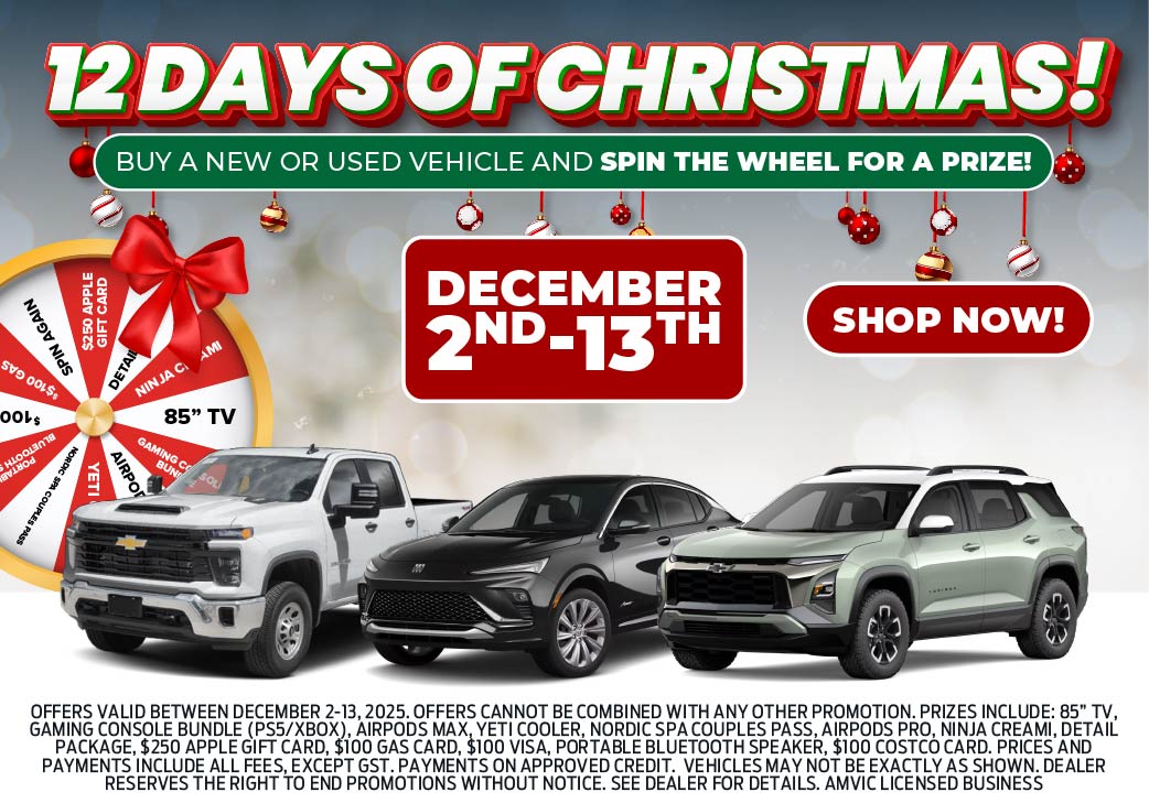 12 Days of Christmas