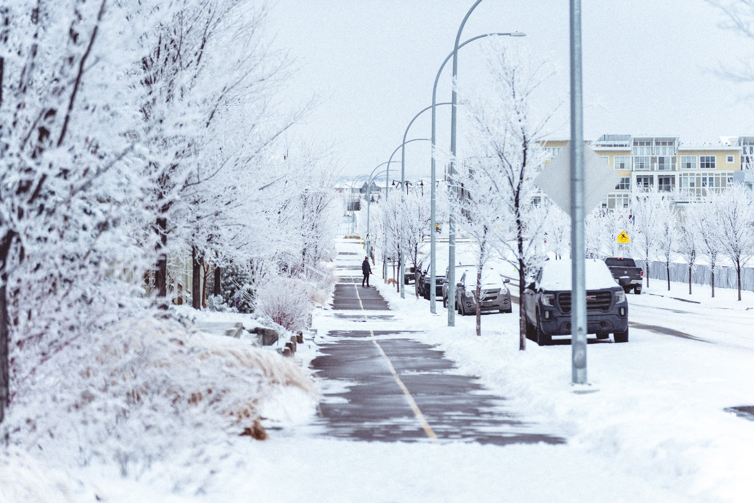 The image depicts a snow-covered street in Calgary, where vehicles navigate through winter conditions, highlighting the importance of proper maintenance and timely replacement of essential auto parts like brake pads and tires for safe driving. The scene captures the challenges of winter driving, emphasizing the need for quality components to ensure vehicle performance and safety.