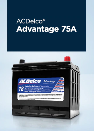 ACDELCO ADVANTAGE 75A