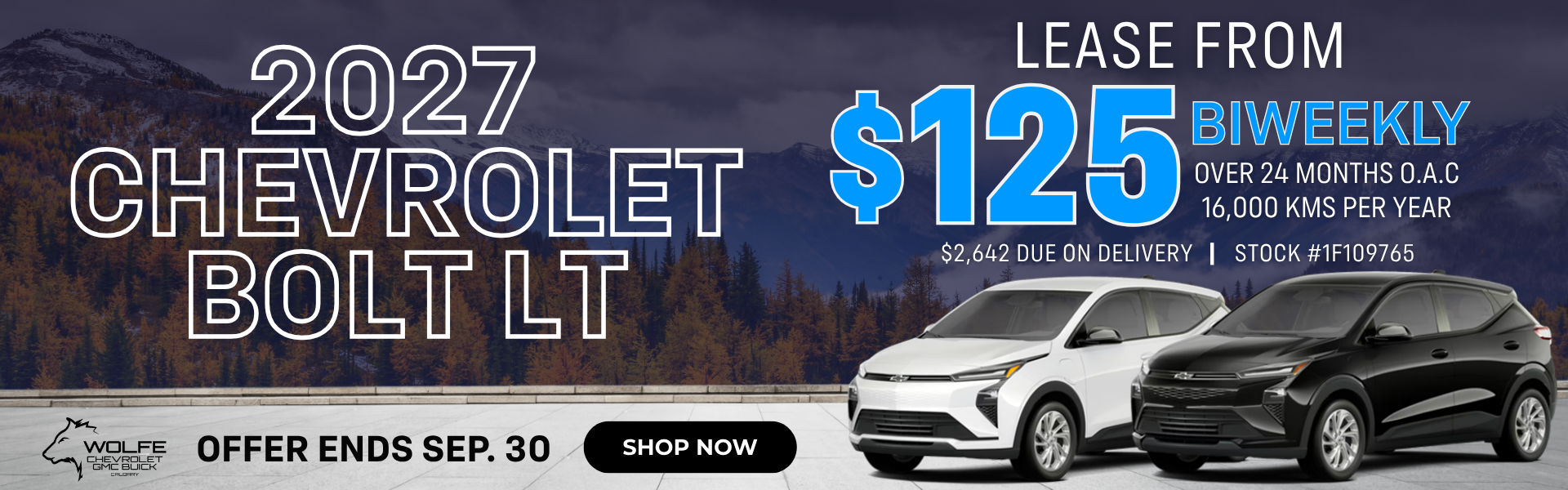 Bolt Lease Offer
