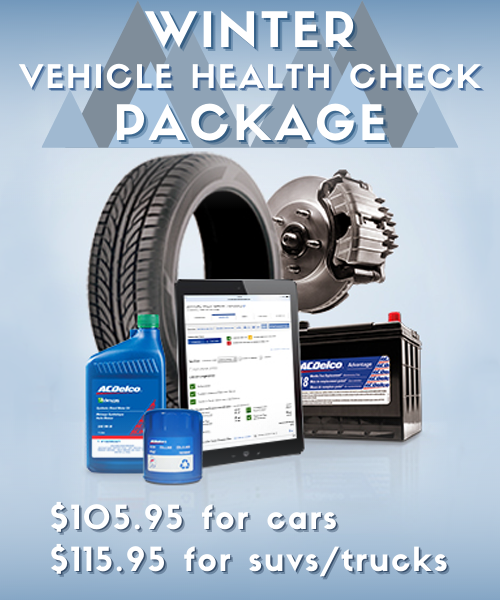 WINTER VEHICLE HEALTH CHECK PACKAGE
