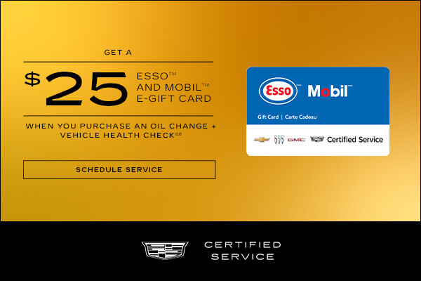 $25 ESSO and Mobile E - Gift Card