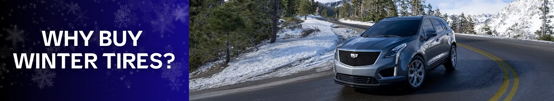 Autumn in Motion Event