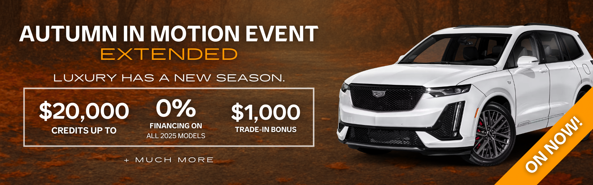 Black Label Event Banner - March 1 - 31