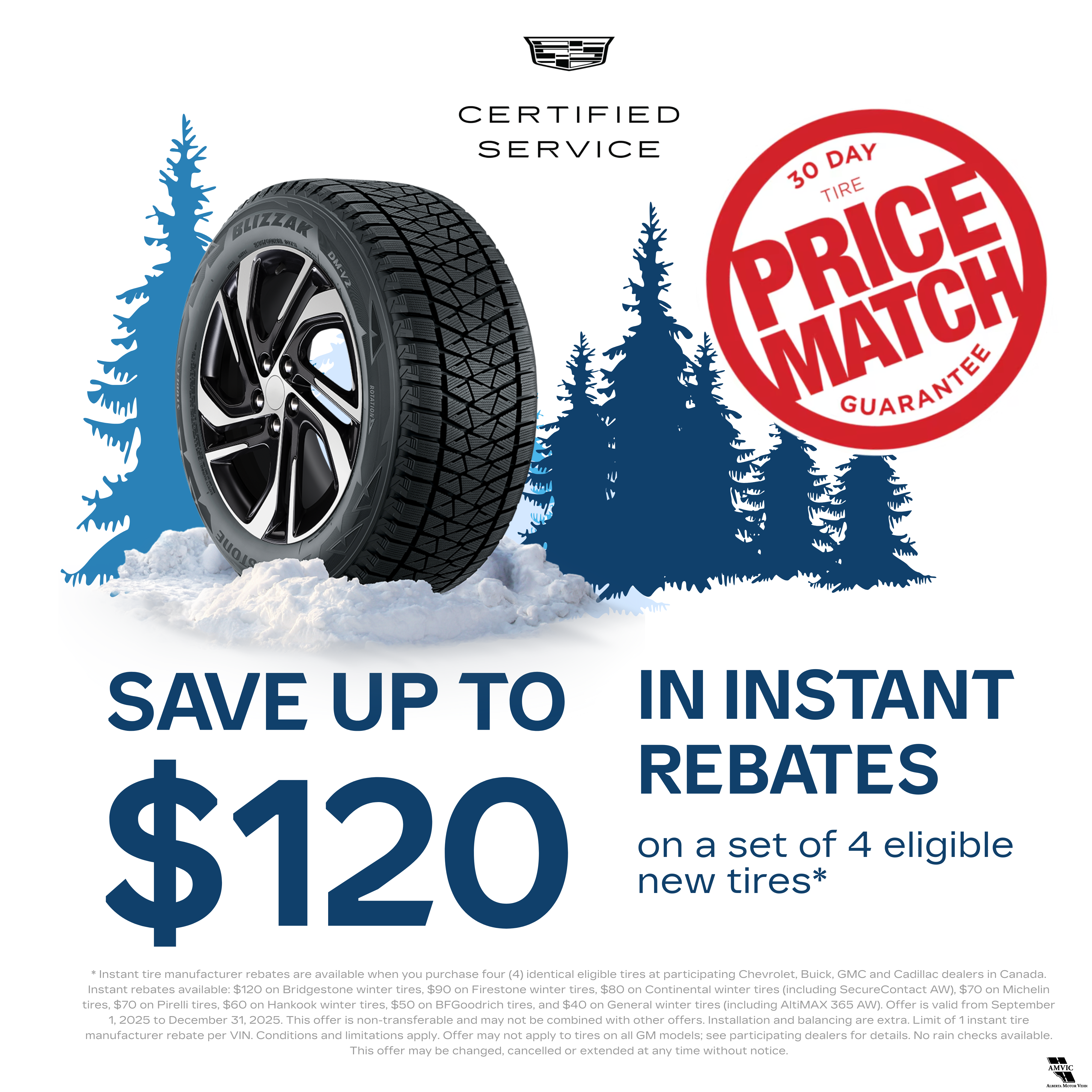 Instant Tire Rebates Campaign