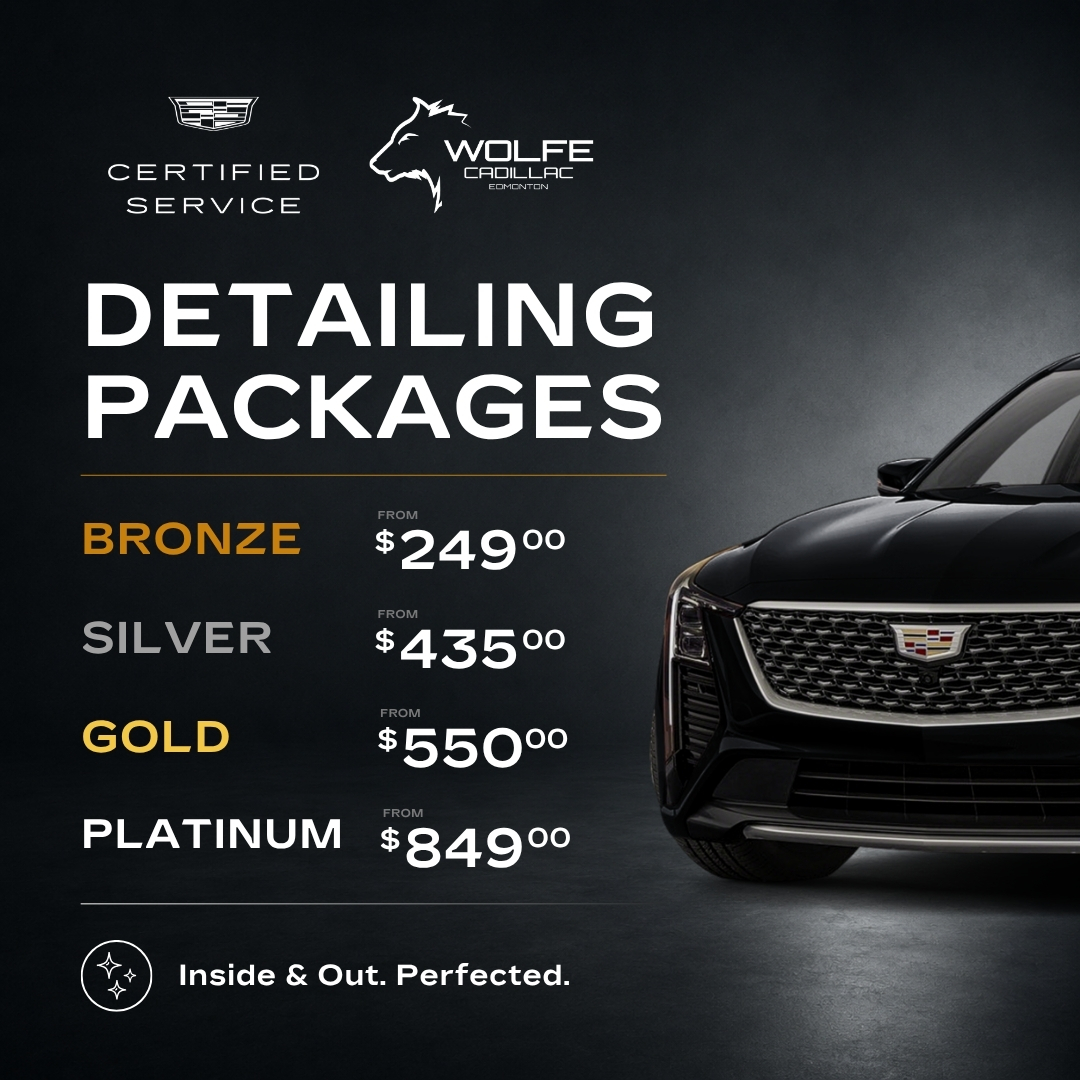 Executive Clean Packages