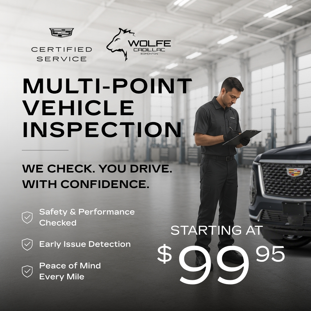 Multi-Point Vehicle Inspection