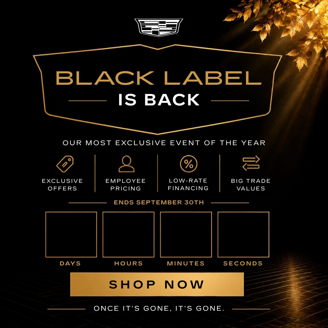 Black Label Is Back