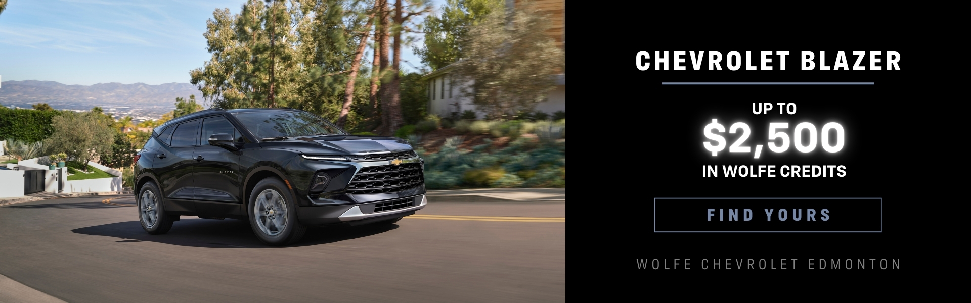 Blazer Desktop - march 2025