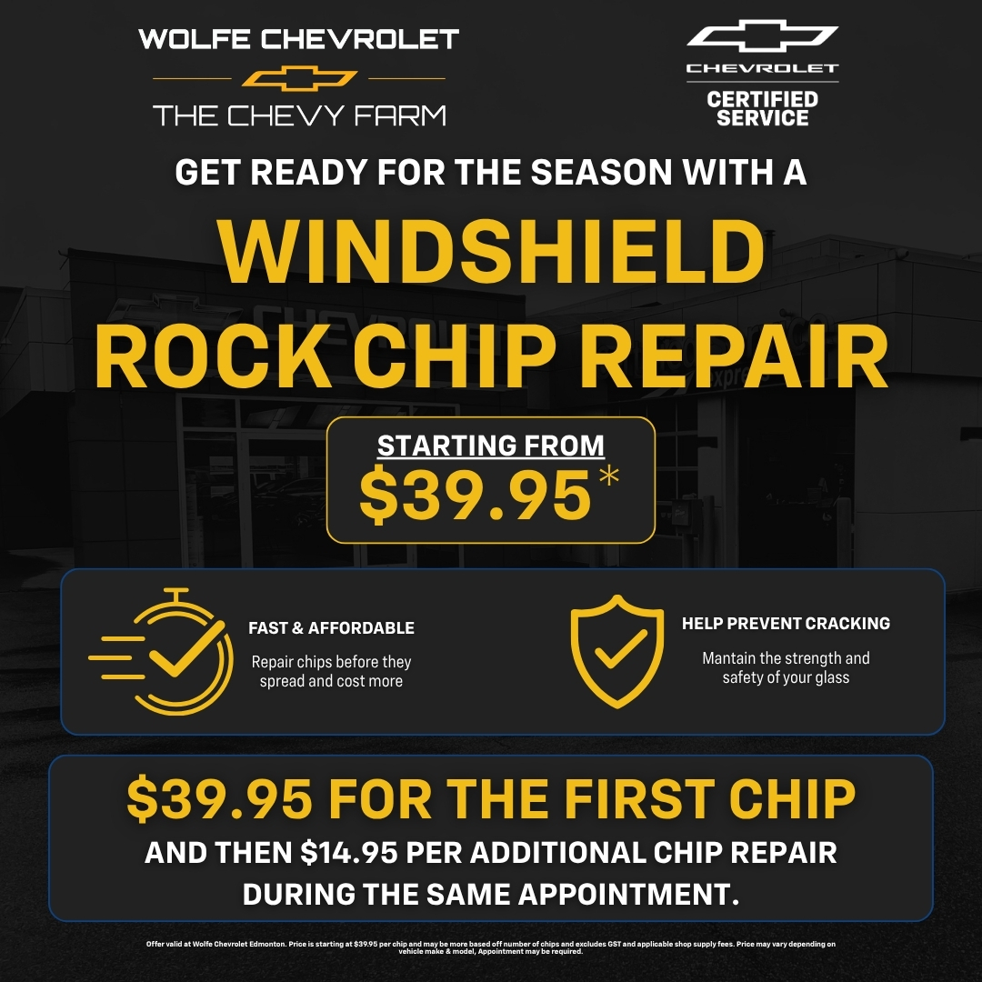 Windshield Rock Chip Repair