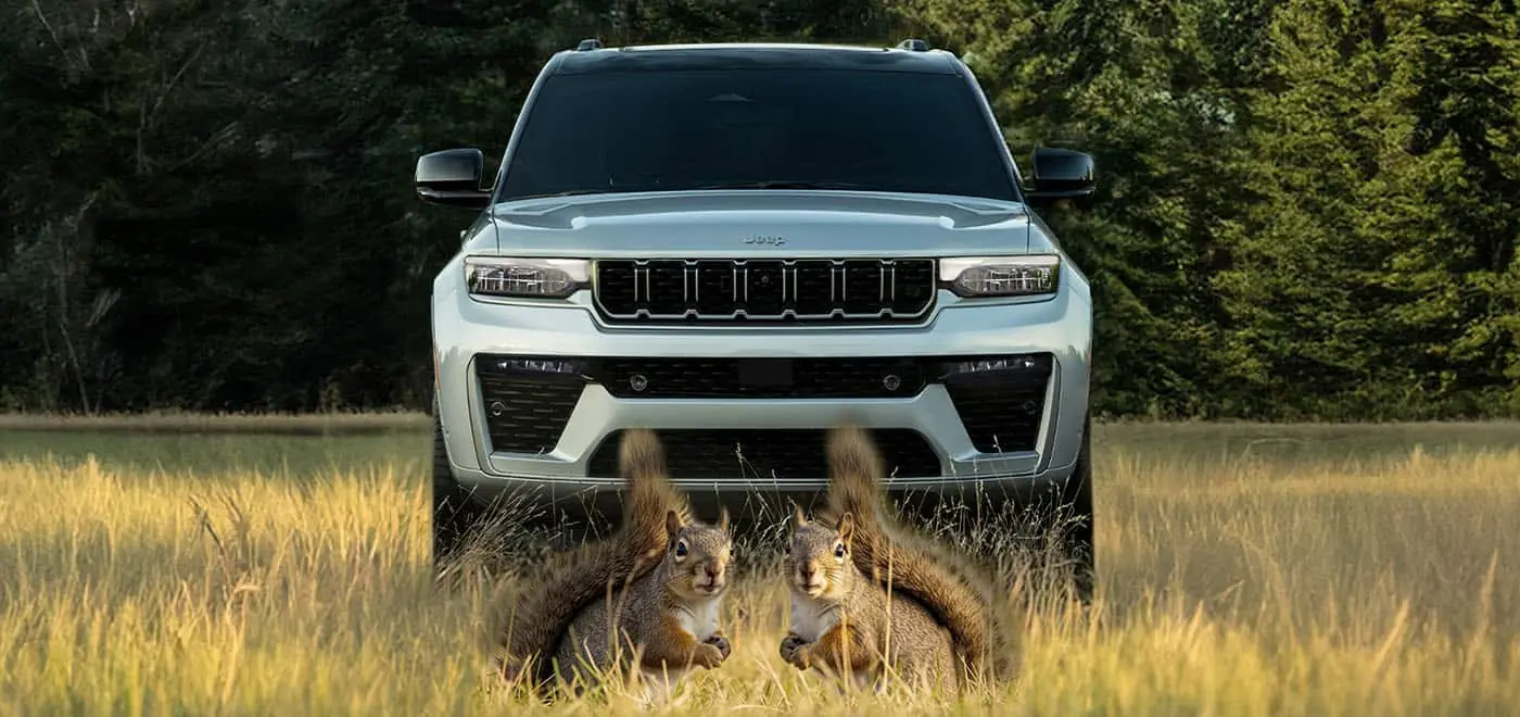 White Jeep Grand Cherokee, head-on front view, in a sunlit meadow