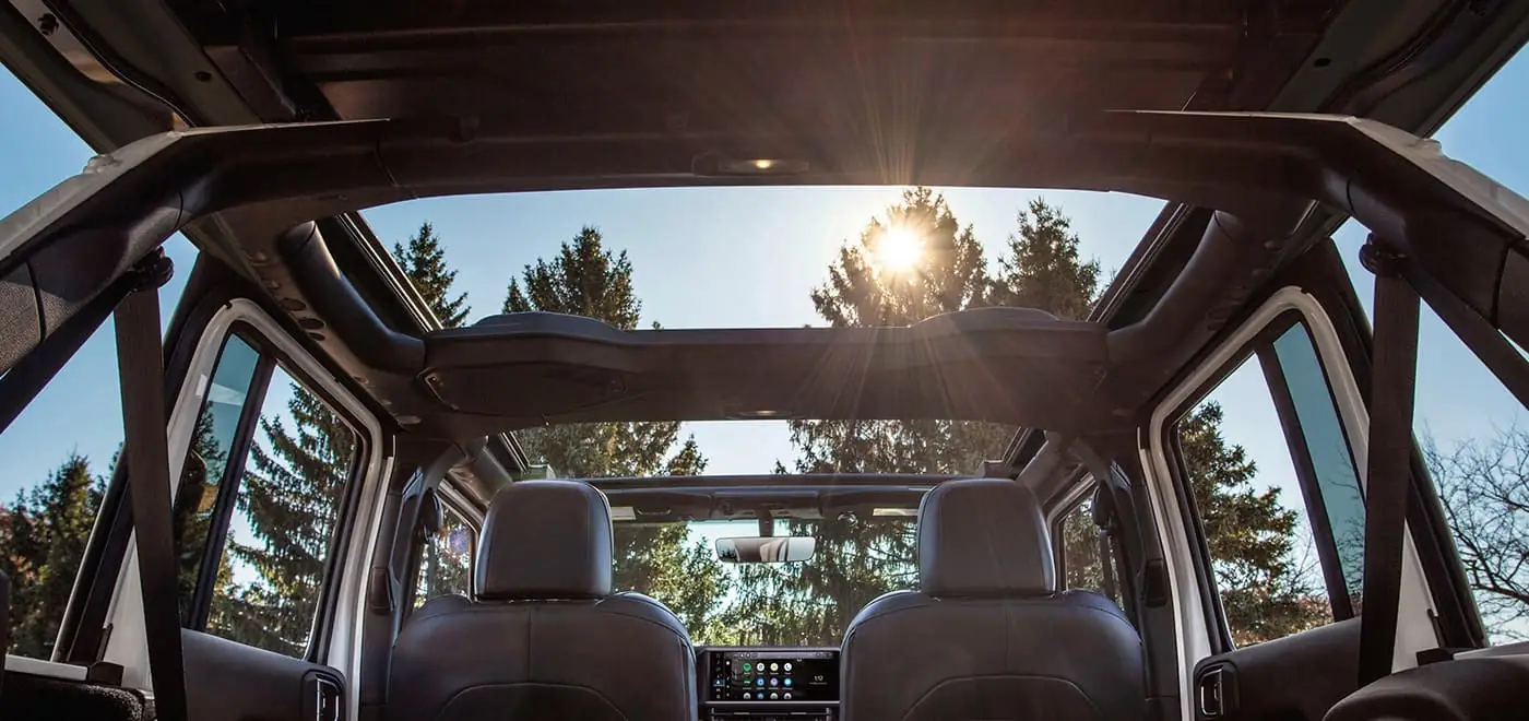 view up through the open roof of a Jeep Wrangler at sunlit trees